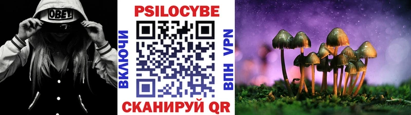 где продают наркотики  Еманжелинск  Галлюциногенные грибы Psilocybe 
