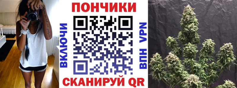 Шишки марихуана план  купить наркотики цена  Еманжелинск 